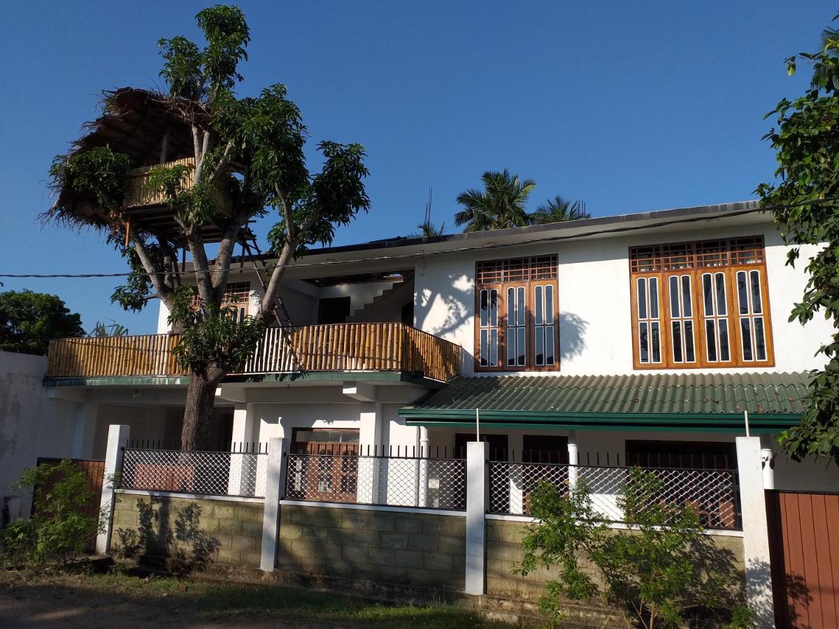 Mangohut Joy Appartement Anuradhapura Buitenkant foto